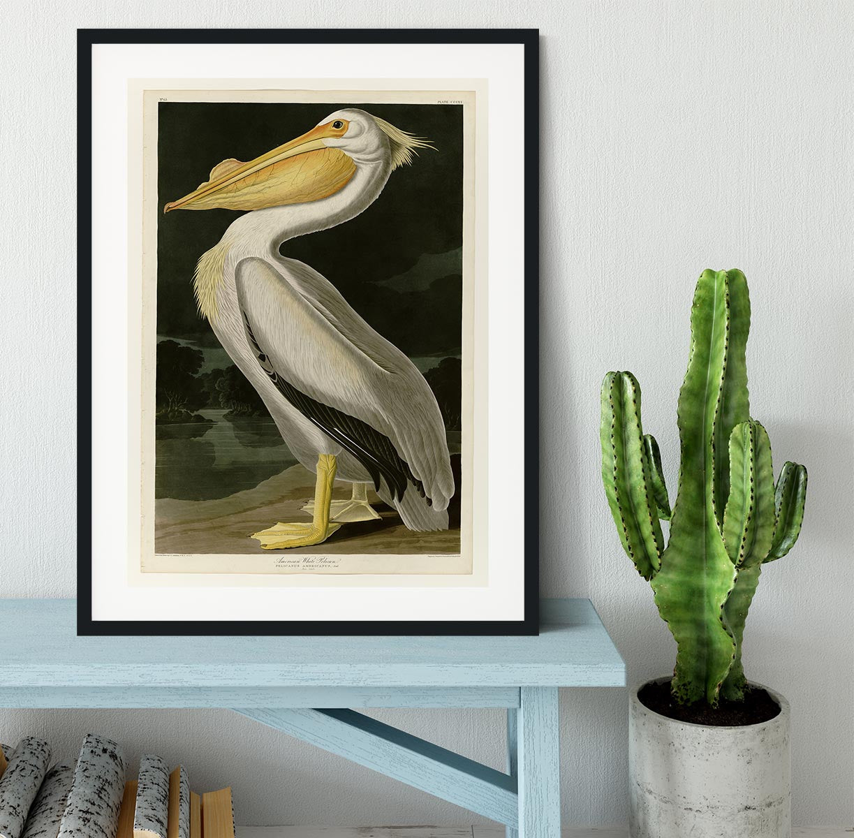 American White Pelican by Audubon Framed Print | Canvas Art Rocks