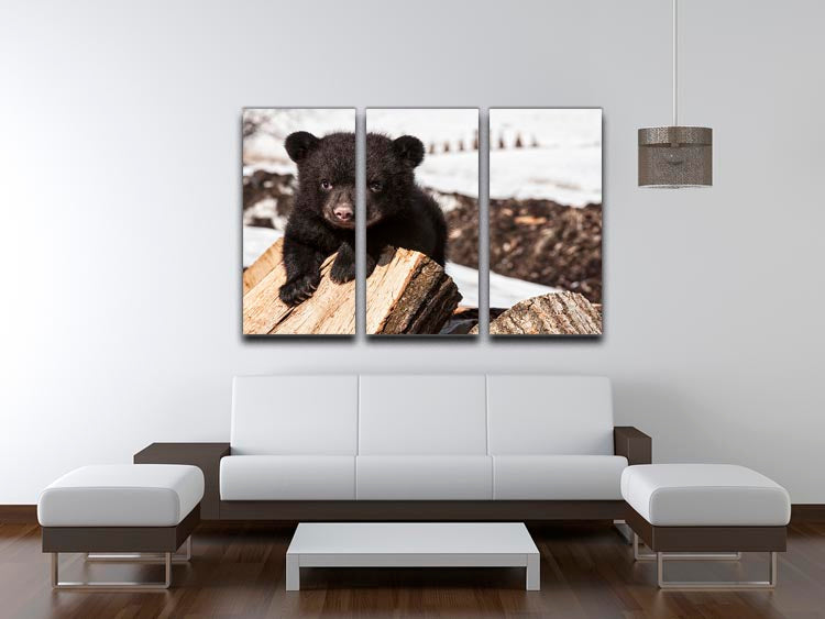 American black bear cub 3 Split Panel Canvas Print - Canvas Art Rocks - 3