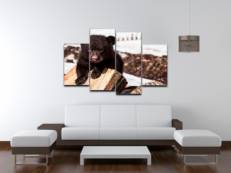 American black bear cub 4 Split Panel Canvas - Canvas Art Rocks - 3