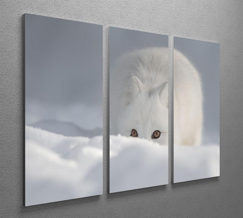 An Arctic Fox peering over a snow drift 3 Split Panel Canvas Print - Canvas Art Rocks - 2