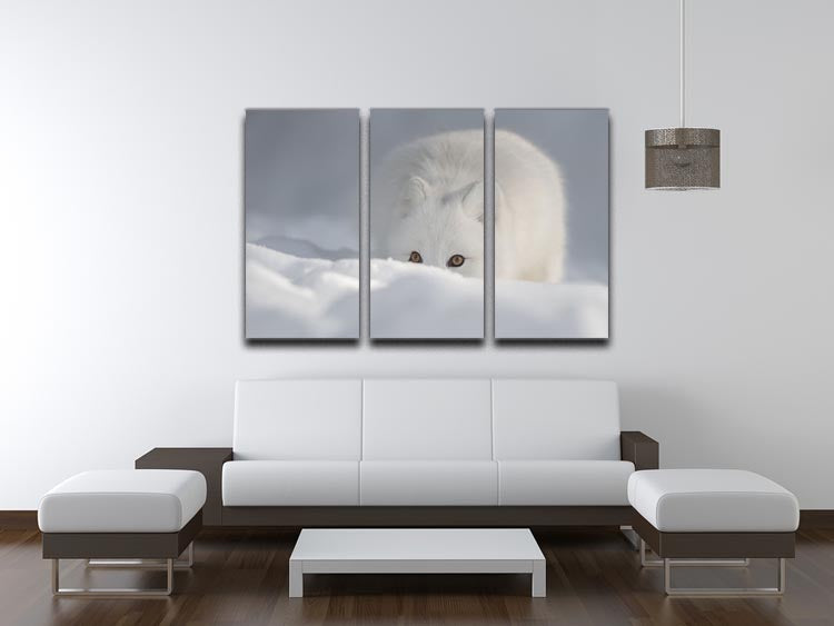 An Arctic Fox peering over a snow drift 3 Split Panel Canvas Print - Canvas Art Rocks - 3
