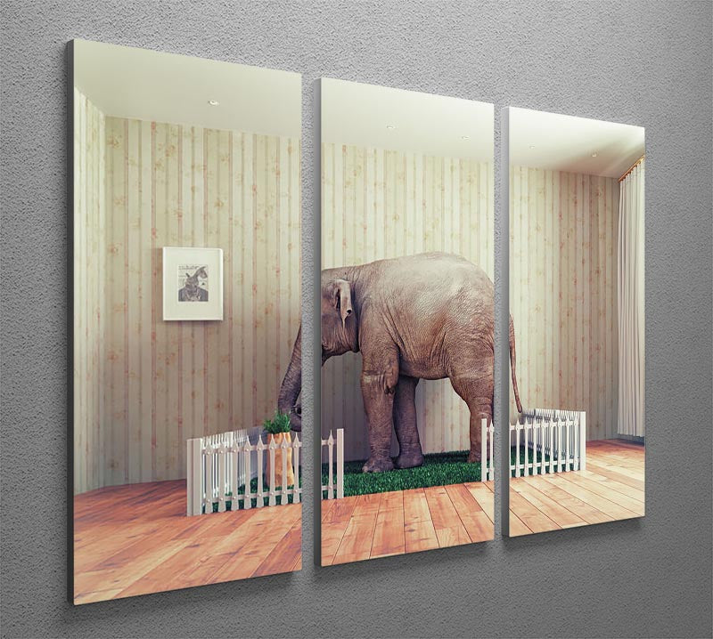 An Elephant calf as the pet 3 Split Panel Canvas Print - Canvas Art Rocks - 2