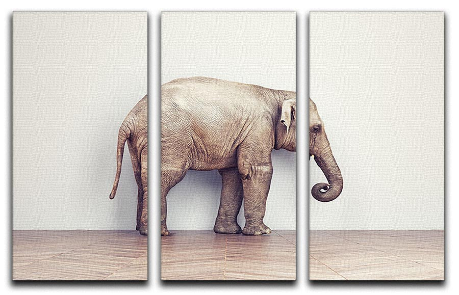 An elephant calm in the room near white wall. Creative concept 3 Split Panel Canvas Print - Canvas Art Rocks - 1