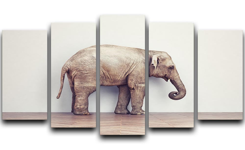 An elephant calm in the room near white wall. Creative concept 5 Split Panel Canvas - Canvas Art Rocks - 1