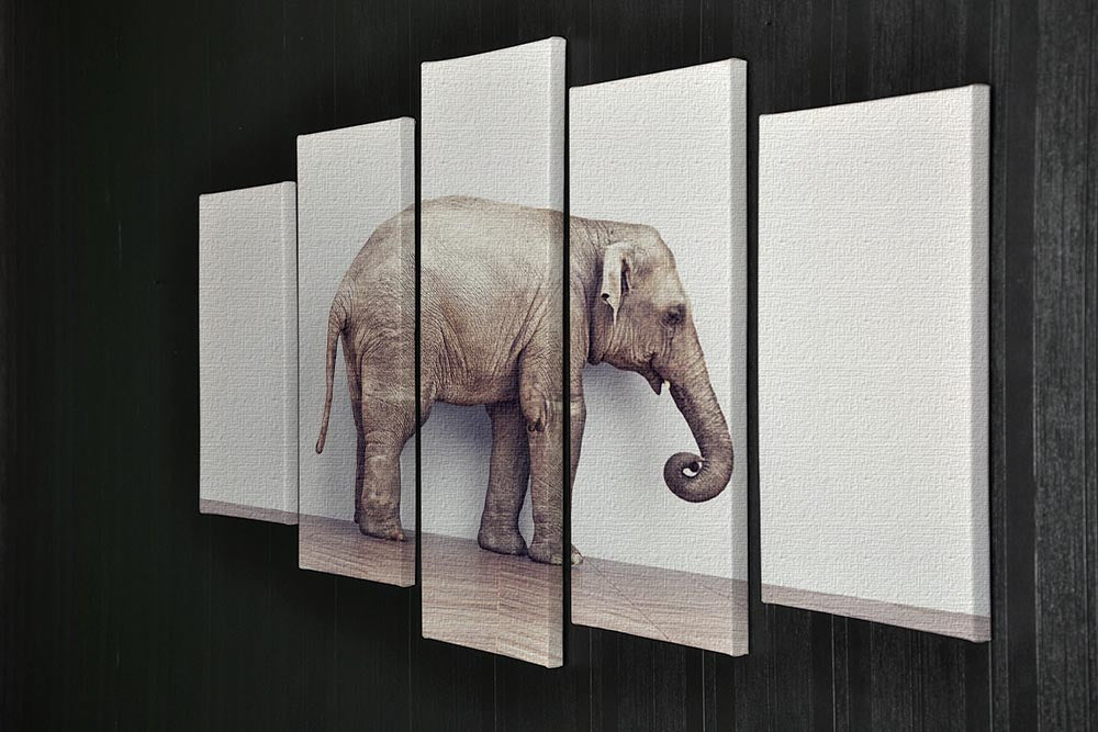 An elephant calm in the room near white wall. Creative concept 5 Split Panel Canvas - Canvas Art Rocks - 2