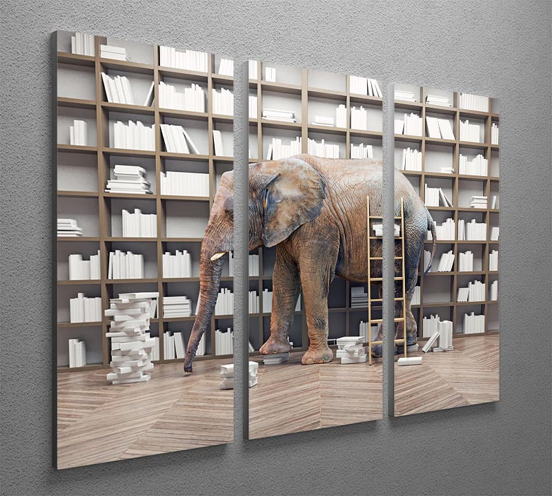 An elephant in the room with book shelves 3 Split Panel Canvas Print - Canvas Art Rocks - 2
