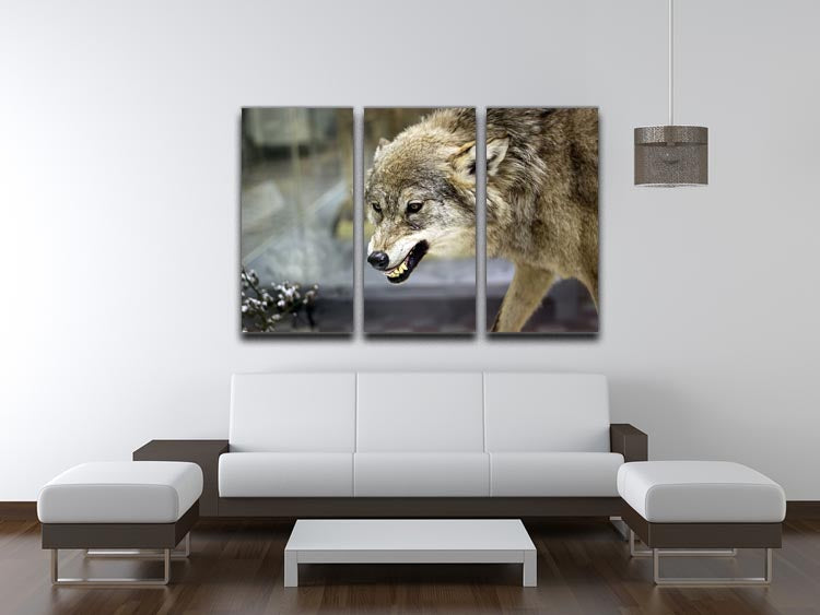 Angry grey wolf in winter forest 3 Split Panel Canvas Print - Canvas Art Rocks - 3