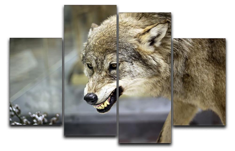 Angry grey wolf in winter forest 4 Split Panel Canvas - Canvas Art Rocks - 1