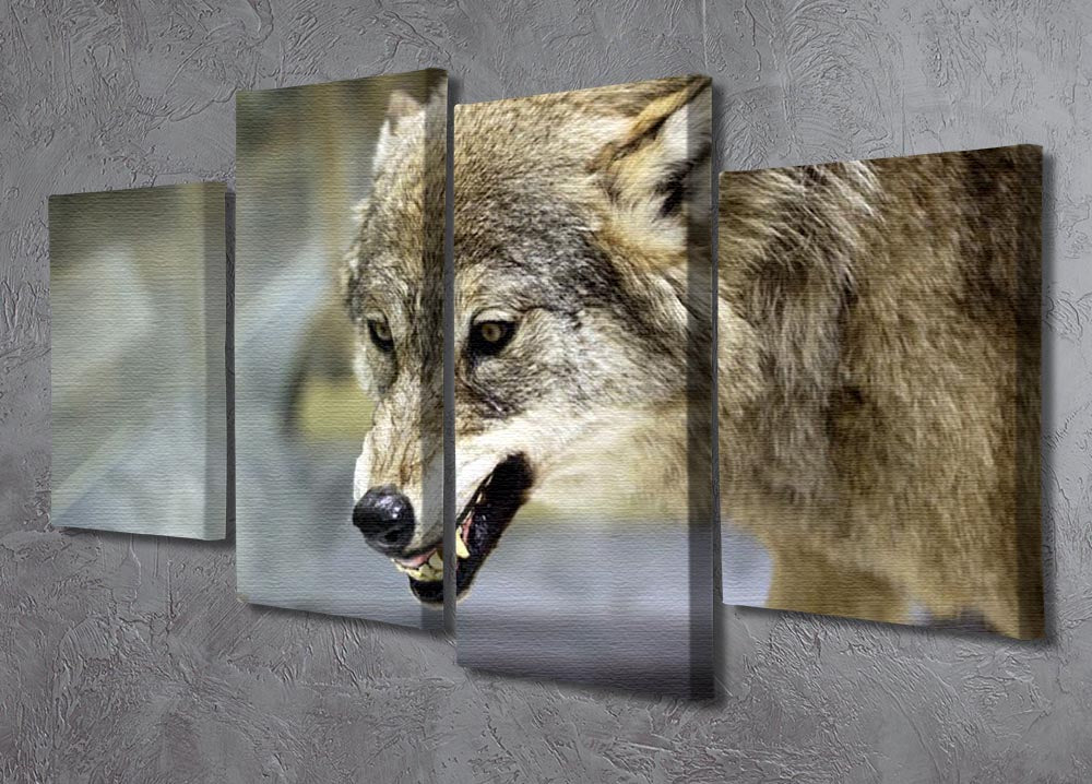 Angry grey wolf in winter forest 4 Split Panel Canvas - Canvas Art Rocks - 2