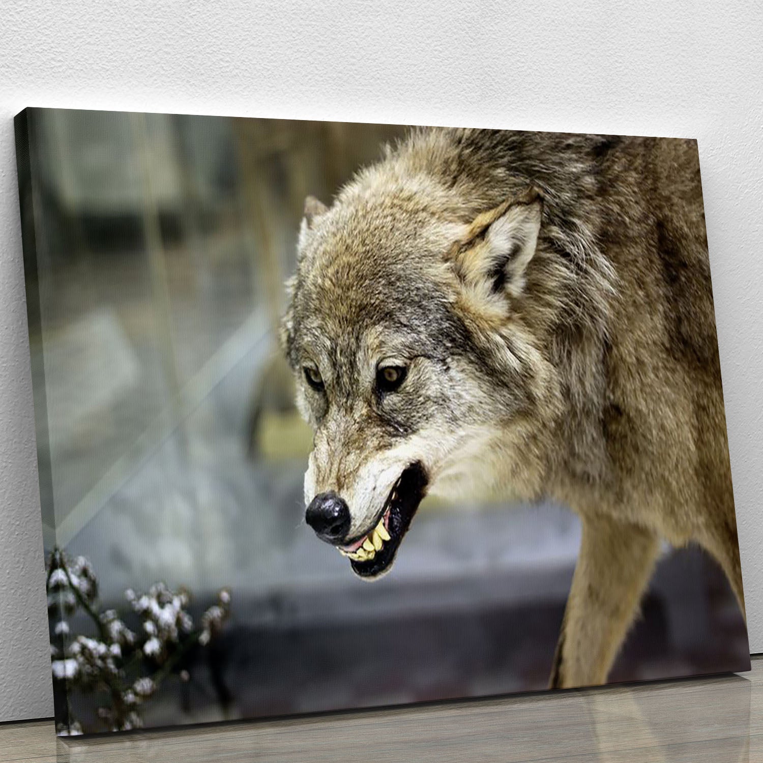 Angry grey wolf in winter forest Canvas Print or Poster - Canvas Art Rocks - 1