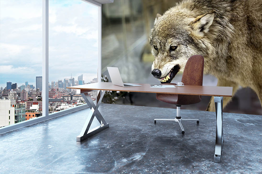Angry grey wolf in winter forest Wall Mural Wallpaper - Canvas Art Rocks - 3