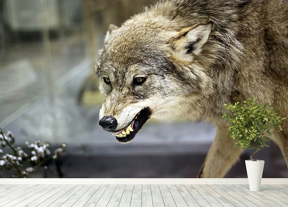 Angry grey wolf in winter forest Wall Mural Wallpaper - Canvas Art Rocks - 4