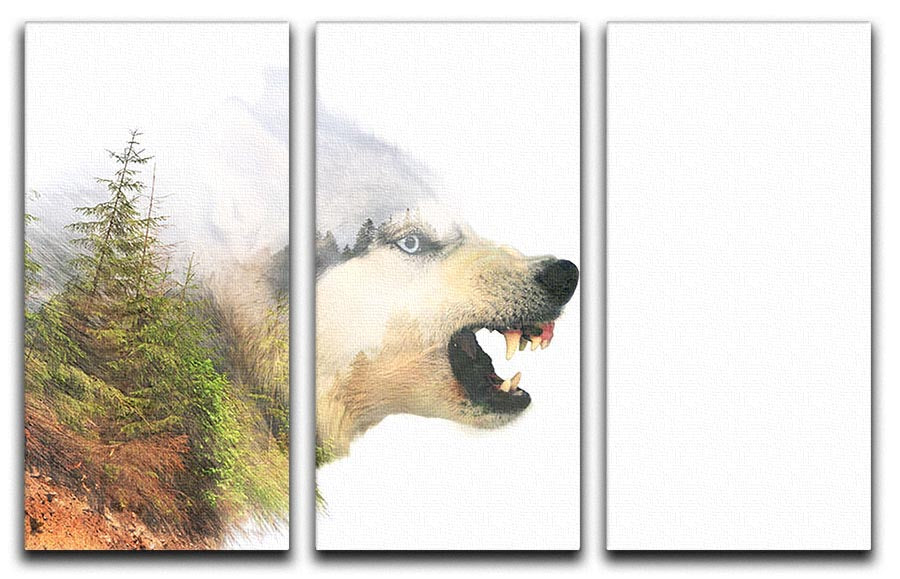 Angry siberian husky dog 3 Split Panel Canvas Print - Canvas Art Rocks - 1