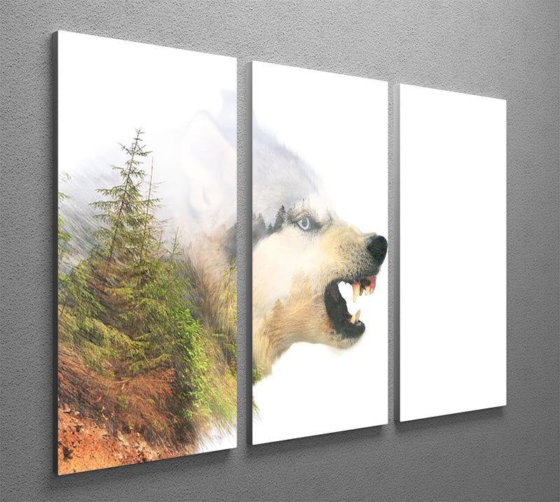 Angry siberian husky dog 3 Split Panel Canvas Print - Canvas Art Rocks - 2