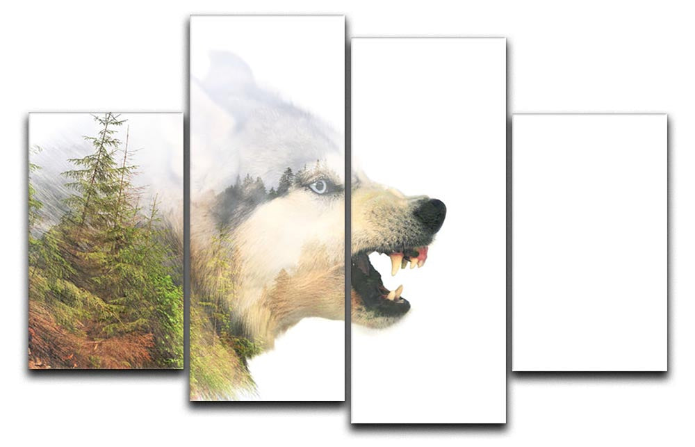 Angry siberian husky dog 4 Split Panel Canvas - Canvas Art Rocks - 1