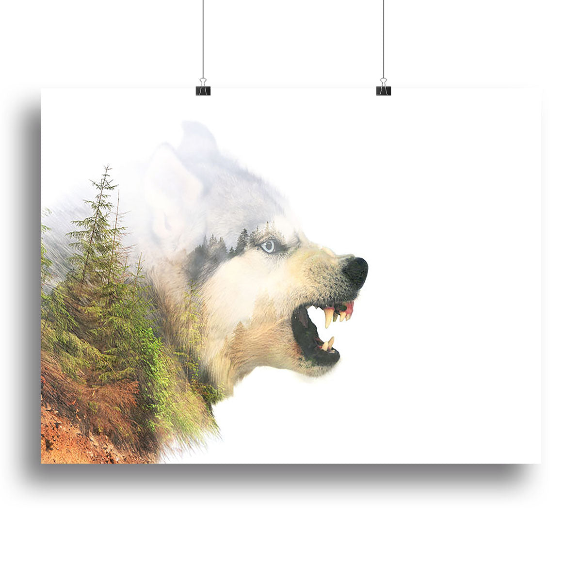 Angry siberian husky dog Canvas Print or Poster - Canvas Art Rocks - 2