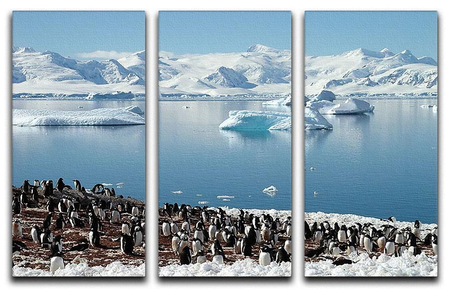 Antarctic penguin group reflection of icebergs Antarctica 3 Split Panel Canvas Print - Canvas Art Rocks - 1