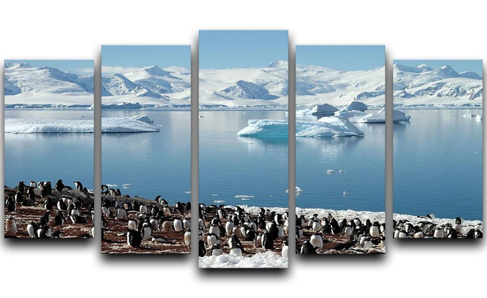 Antarctic penguin group reflection of icebergs Antarctica 5 Split Panel Canvas - Canvas Art Rocks - 1