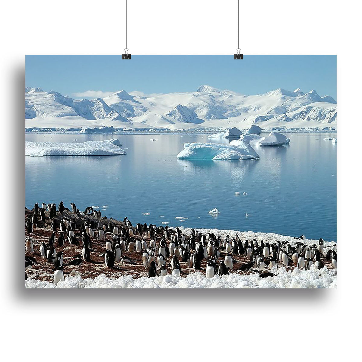 Antarctic penguin group reflection of icebergs Antarctica Canvas Print or Poster - Canvas Art Rocks - 2