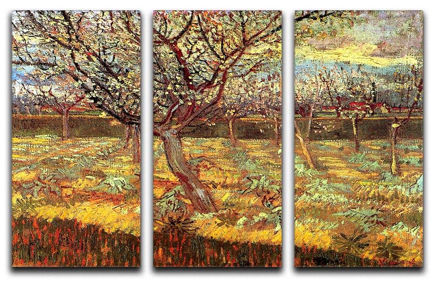 Apricot Trees in Blossom by Van Gogh 3 Split Panel Canvas Print - Canvas Art Rocks - 4