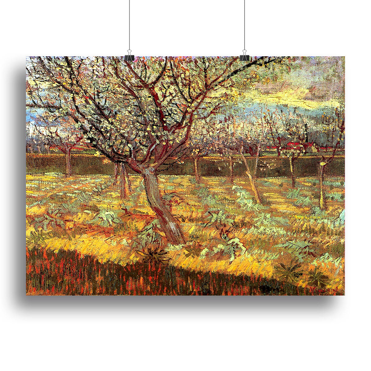 Apricot Trees in Blossom by Van Gogh Canvas Print or Poster - Canvas Art Rocks - 2