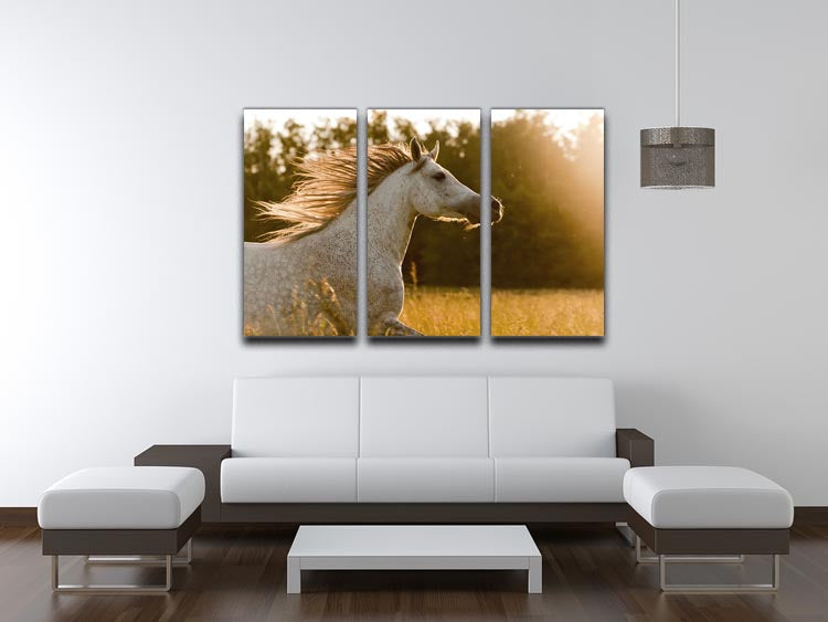 Arab horse in sunset 3 Split Panel Canvas Print - Canvas Art Rocks - 3