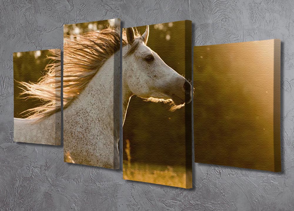 Arab horse in sunset 4 Split Panel Canvas - Canvas Art Rocks - 2