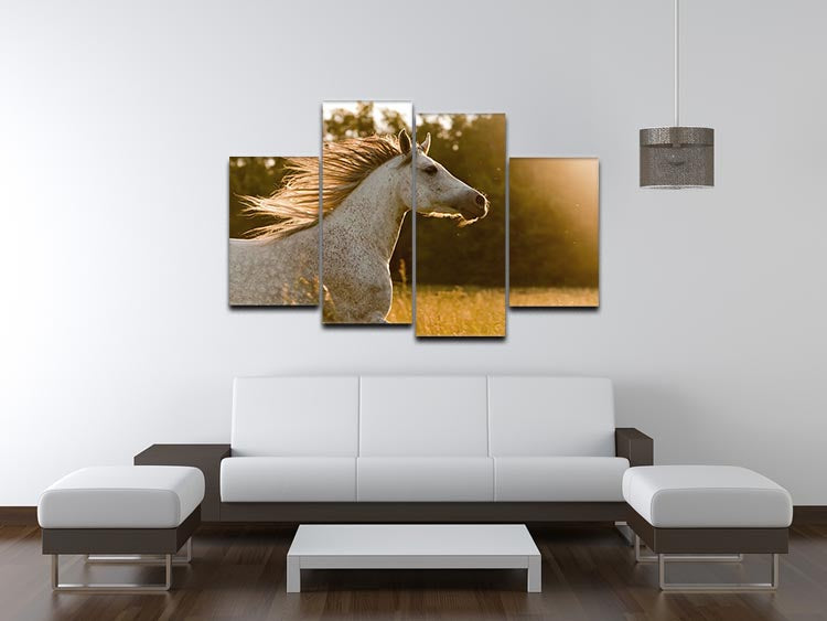 Arab horse in sunset 4 Split Panel Canvas - Canvas Art Rocks - 3