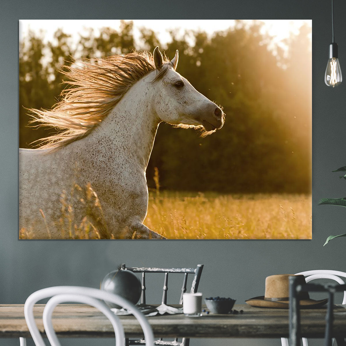 Arab horse in sunset Canvas Print or Poster - Canvas Art Rocks - 3
