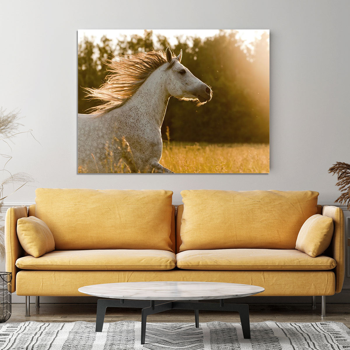 Arab horse in sunset Canvas Print or Poster - Canvas Art Rocks - 4