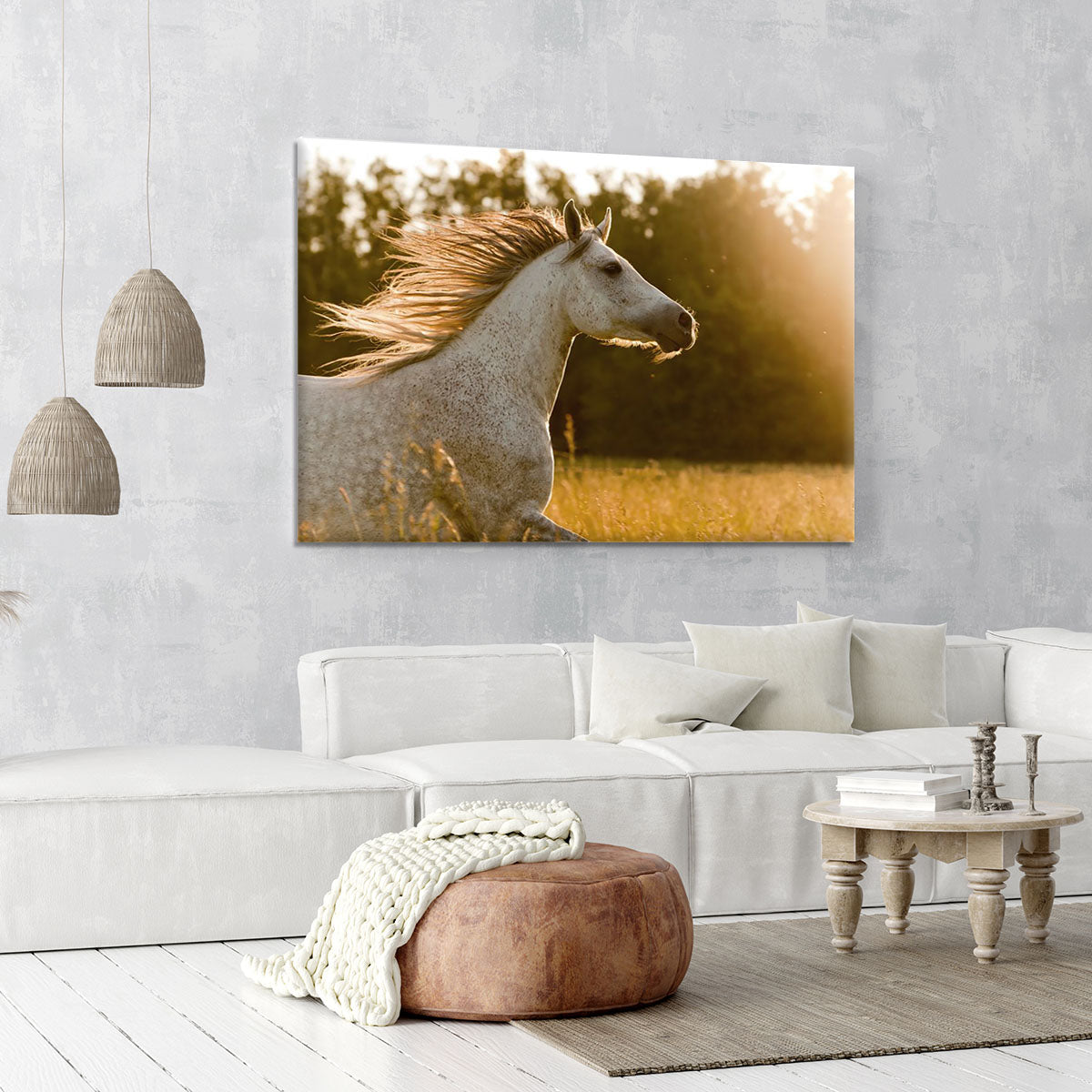 Arab horse in sunset Canvas Print or Poster - Canvas Art Rocks - 6