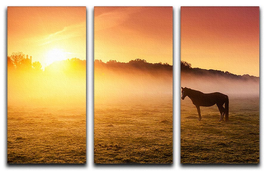 Arabian horses grazing on pasture at sundown in orange sunny beams. Dramatic foggy scene 3 Split Panel Canvas Print - Canvas Art Rocks - 1