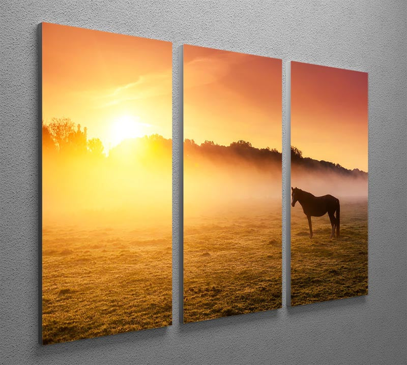 Arabian horses grazing on pasture at sundown in orange sunny beams. Dramatic foggy scene 3 Split Panel Canvas Print - Canvas Art Rocks - 2