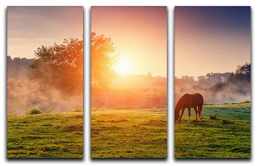 Arabian horses grazing on pasture at sundown in orange sunny beams 3 Split Panel Canvas Print - Canvas Art Rocks - 1