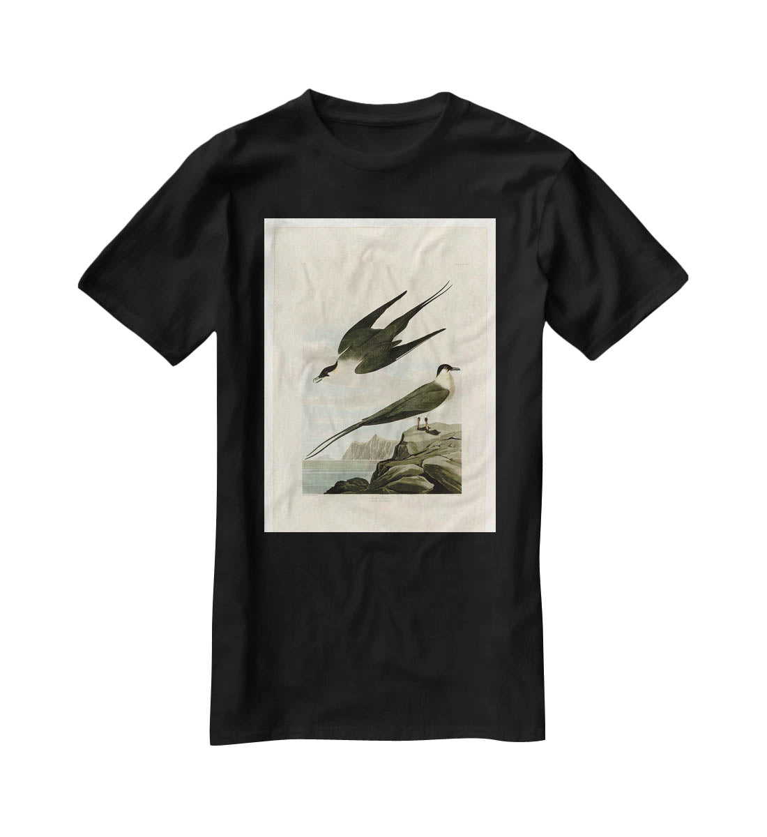 Arctic Yager by Audubon T-Shirt - Canvas Art Rocks - 1