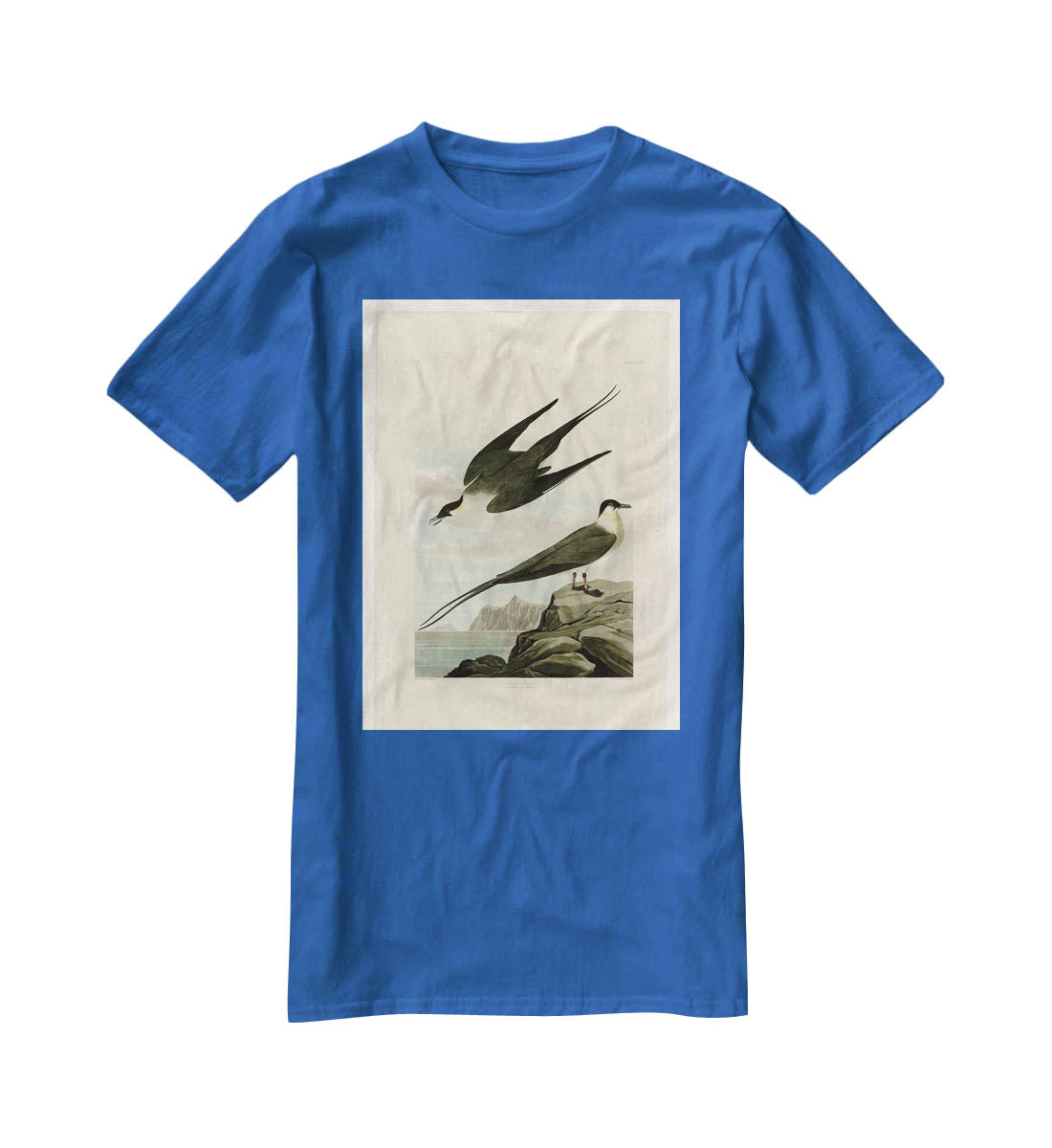 Arctic Yager by Audubon T-Shirt - Canvas Art Rocks - 2