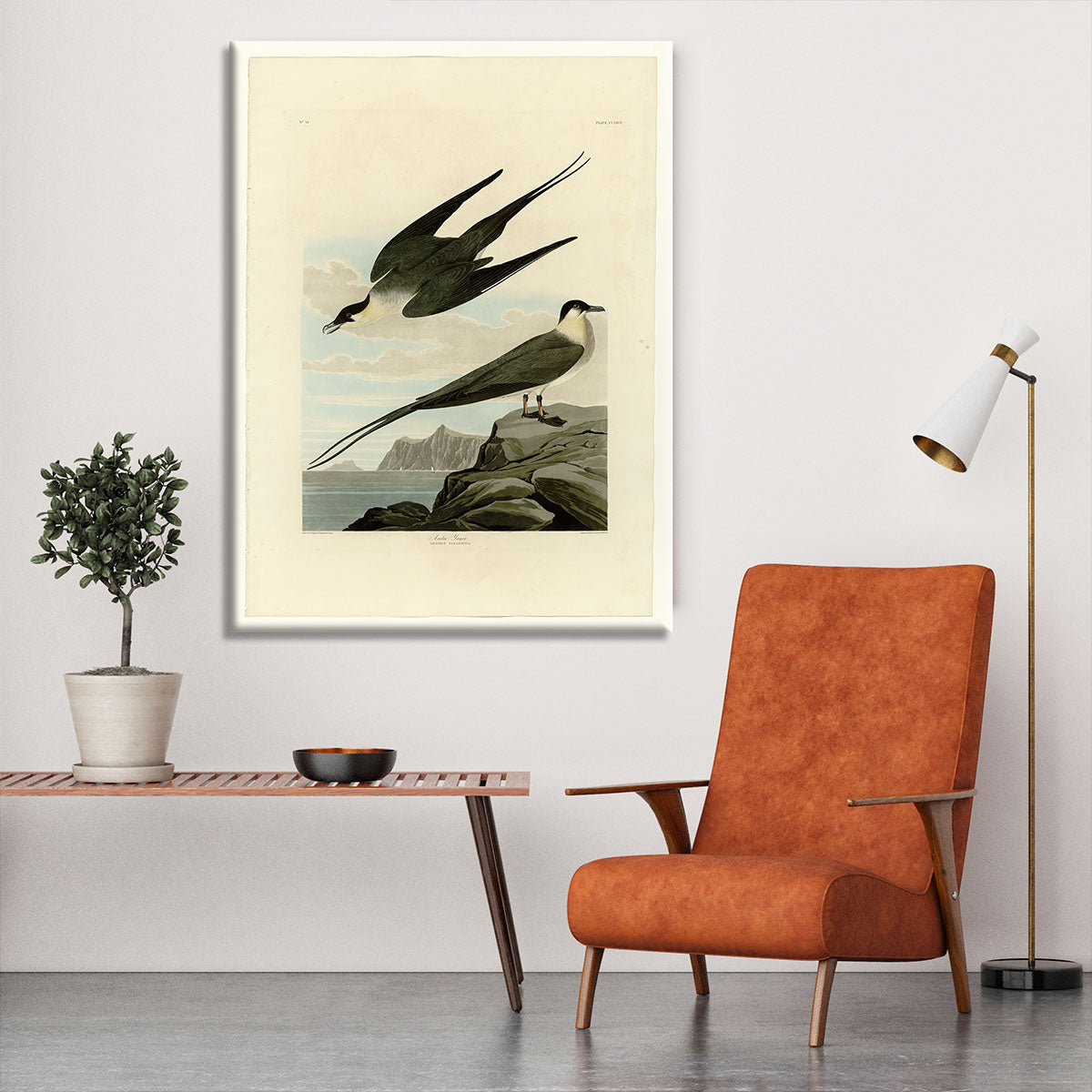 Arctic Yager by Audubon Canvas Print or Poster - Canvas Art Rocks - 6