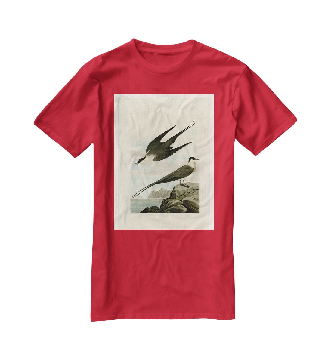 Arctic Yager by Audubon T-Shirt - Canvas Art Rocks - 4