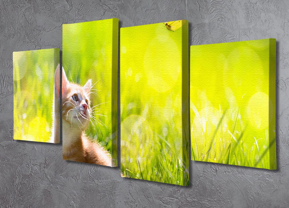 Art little ginger kitten outdoors 4 Split Panel Canvas - Canvas Art Rocks - 2