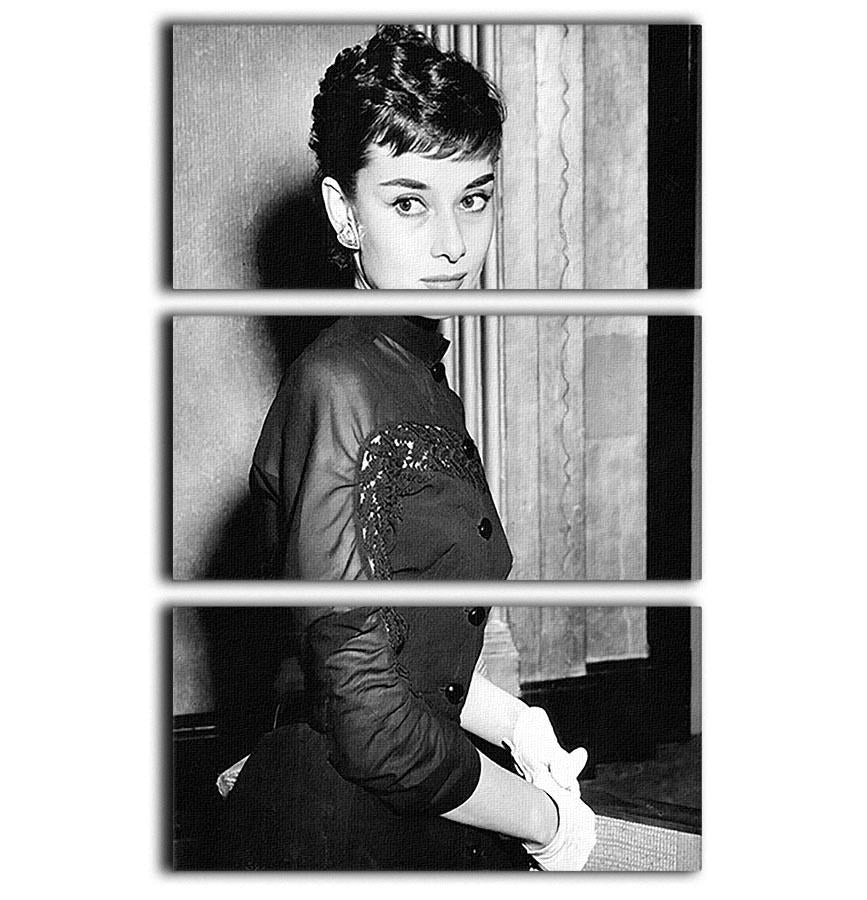 Audrey Hepburn in 1953 3 Split Panel Canvas Print - Canvas Art Rocks - 1