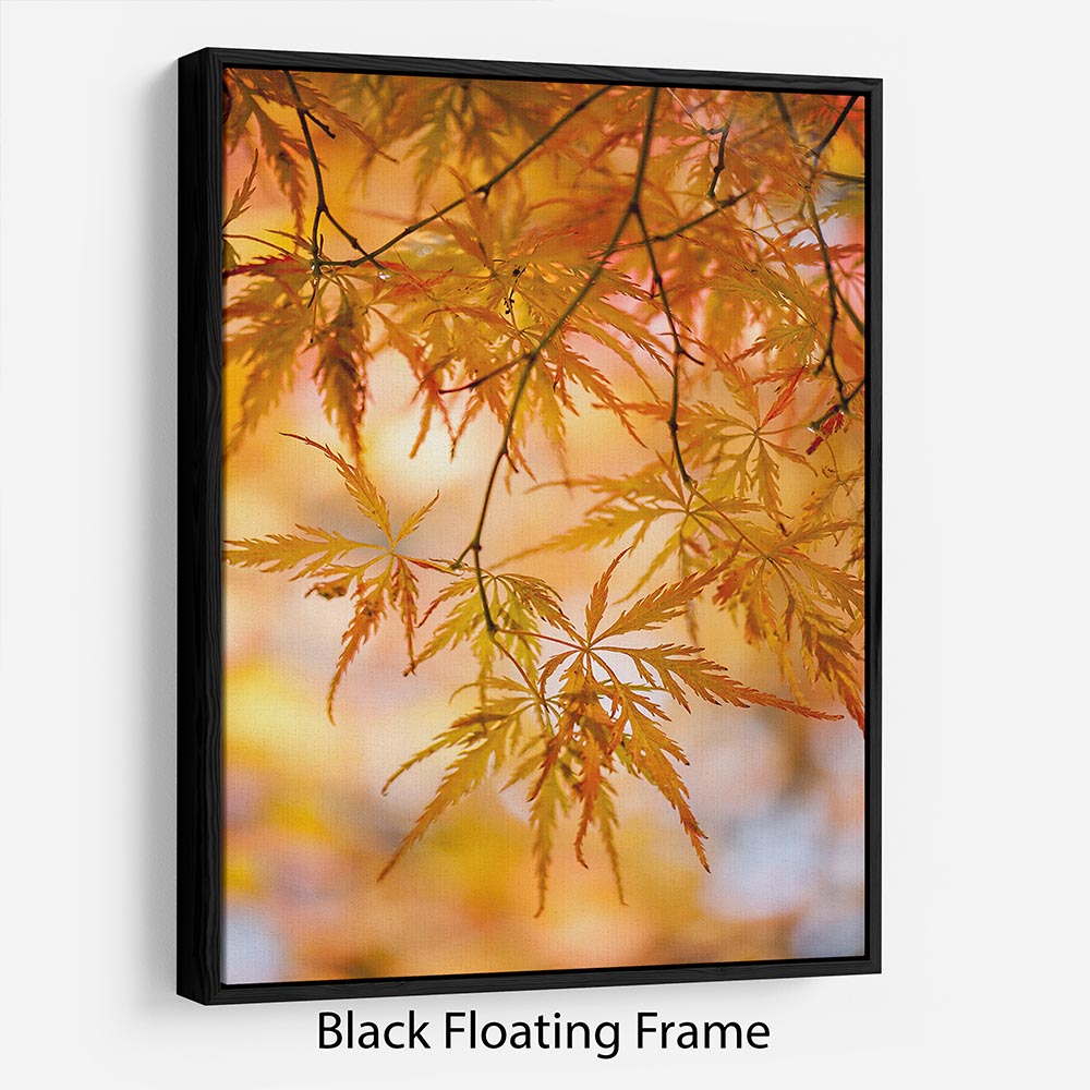 Autumn Leaves Floating Frame Canvas - Canvas Art Rocks - 1