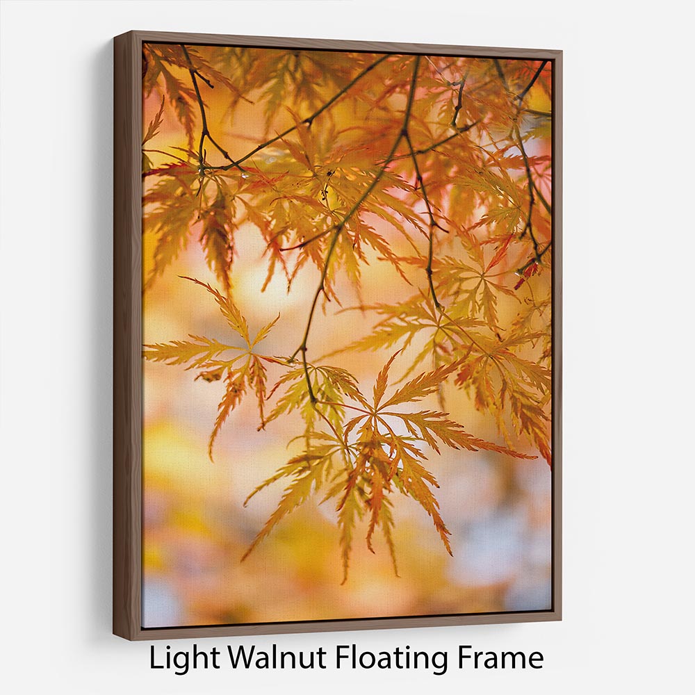 Autumn Leaves Floating Frame Canvas - Canvas Art Rocks 7
