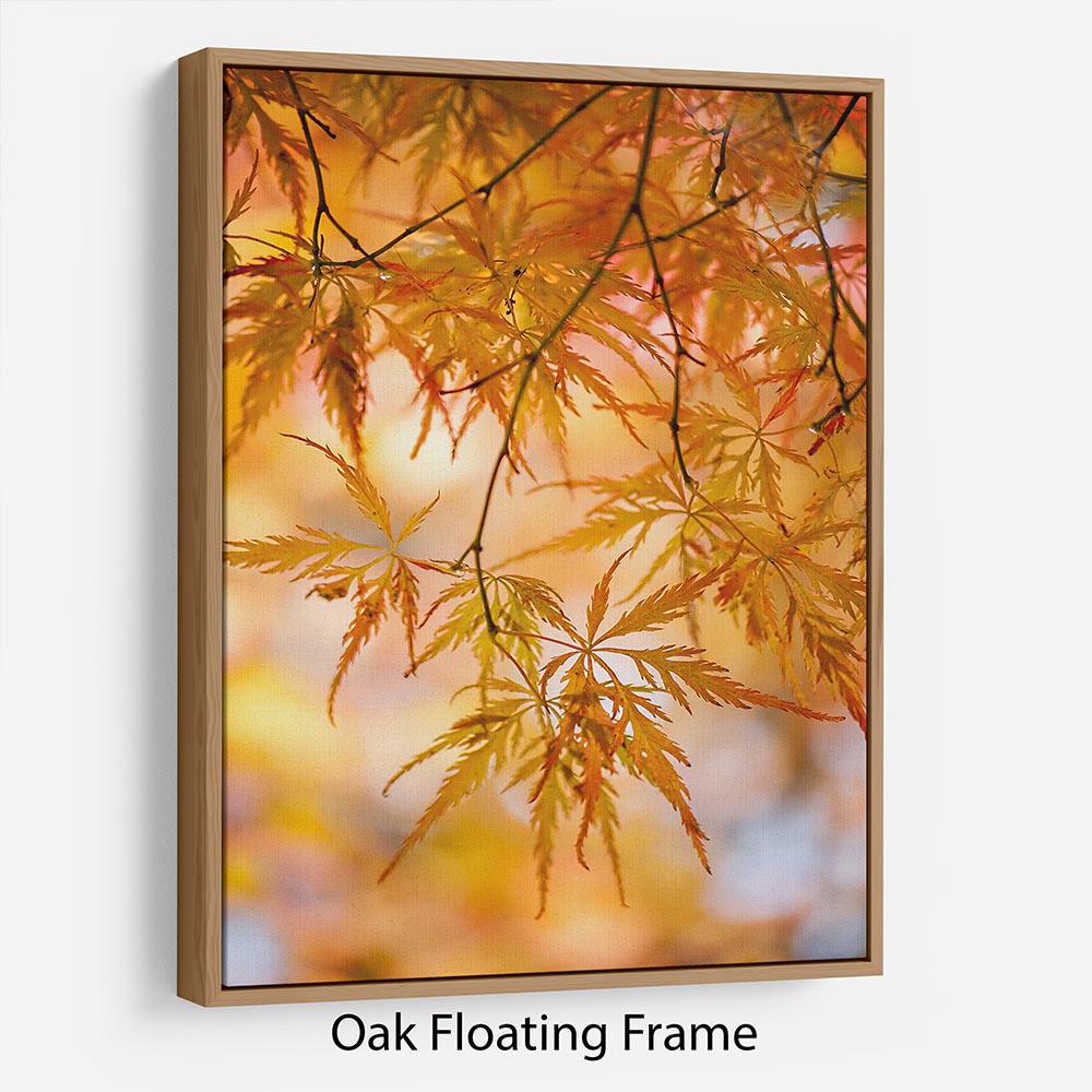 Autumn Leaves Floating Frame Canvas - Canvas Art Rocks - 9