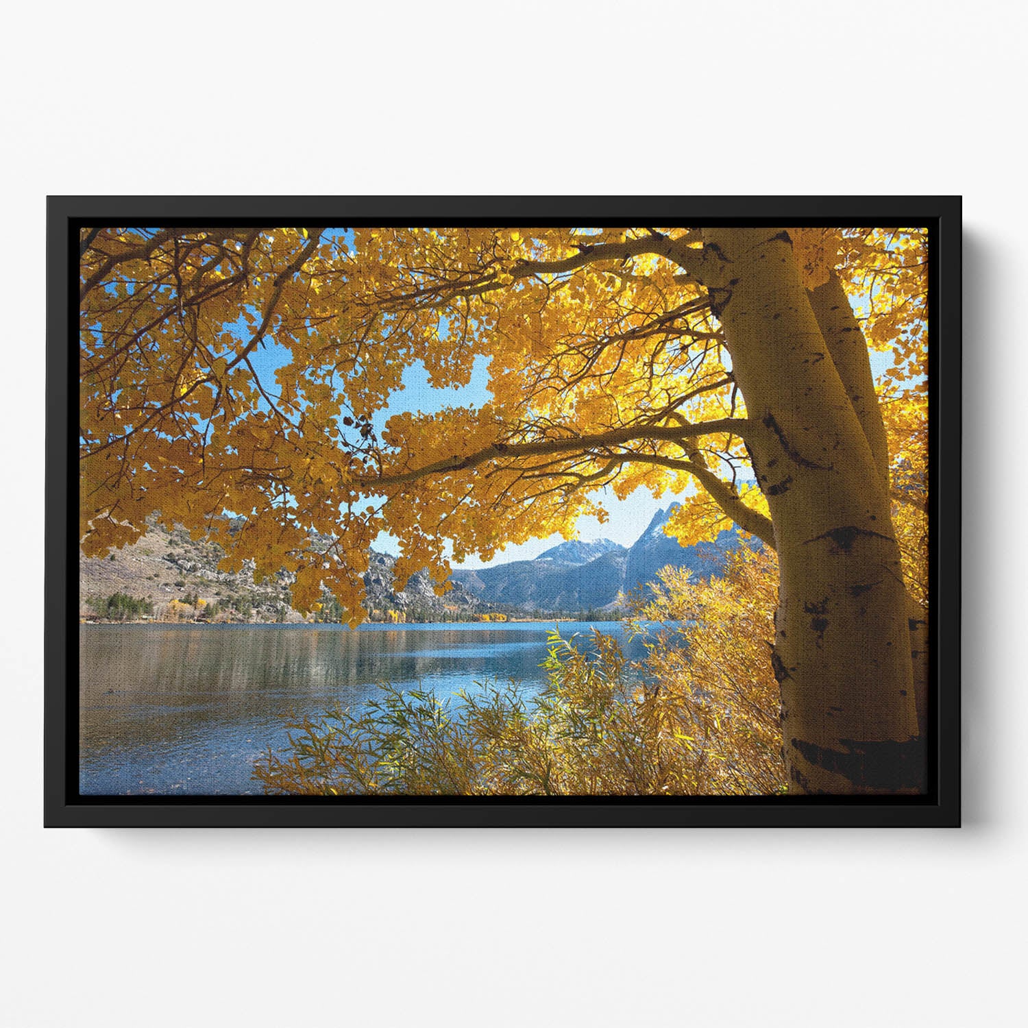 Autumn mountain lake Floating Framed Canvas