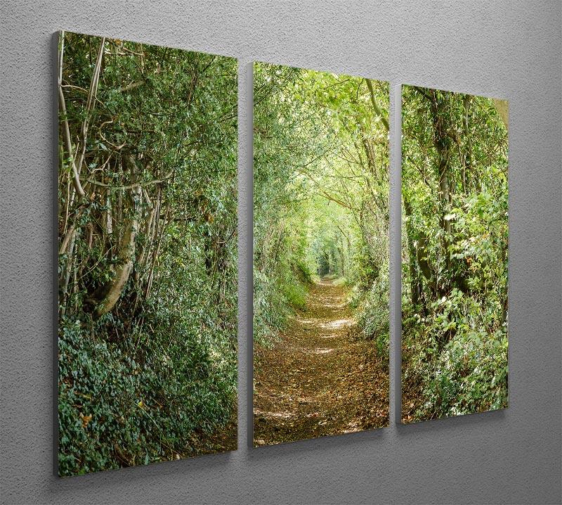 Avenue of trees 3 Split Panel Canvas Print - Canvas Art Rocks - 2