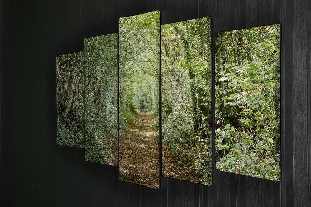 Avenue of trees 5 Split Panel Canvas  - Canvas Art Rocks - 2