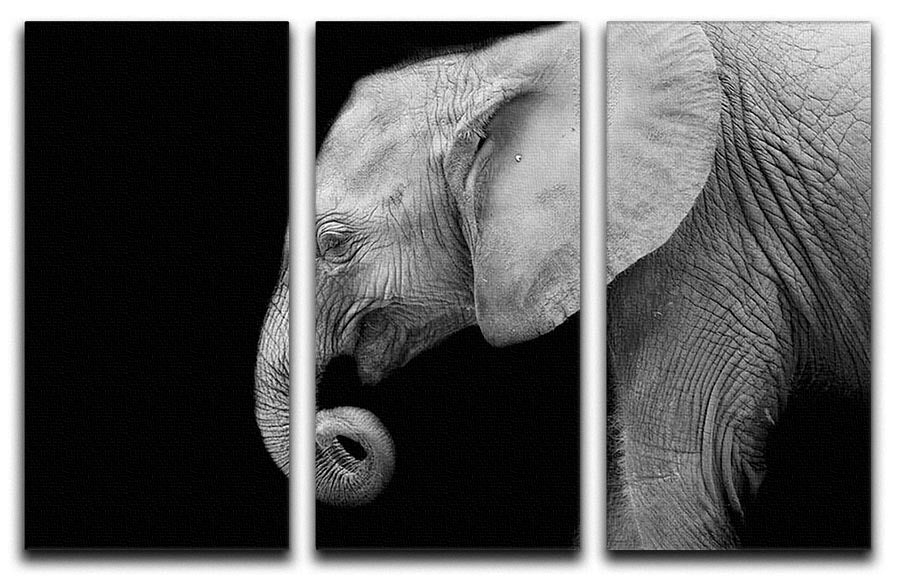 Baby elephant 3 Split Panel Canvas Print - Canvas Art Rocks - 1