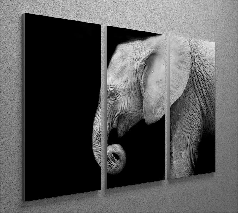 Baby elephant 3 Split Panel Canvas Print - Canvas Art Rocks - 2