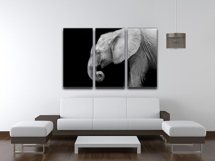 Baby elephant 3 Split Panel Canvas Print - Canvas Art Rocks - 3