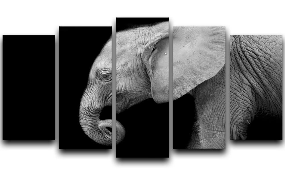 Baby elephant 5 Split Panel Canvas - Canvas Art Rocks - 1